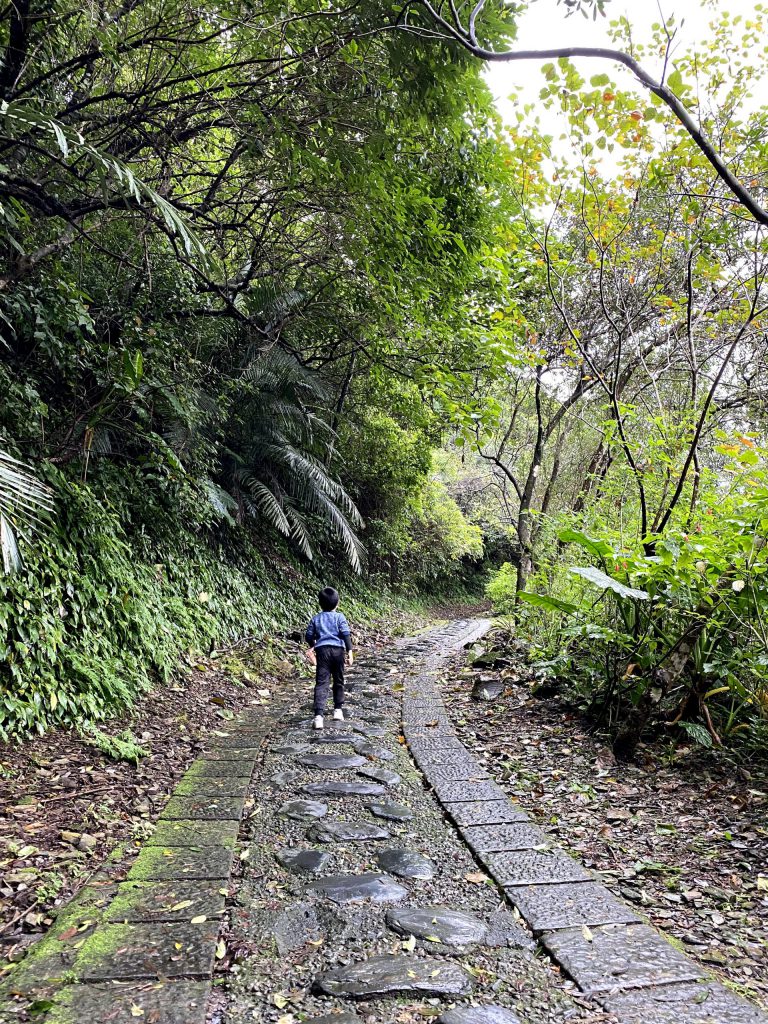 宜蘭仁山植物園-登山步道-努力爬上山的孩子背影