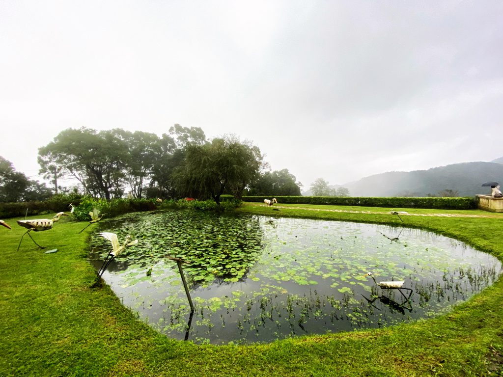 宜蘭仁山植物園-英式庭園池塘