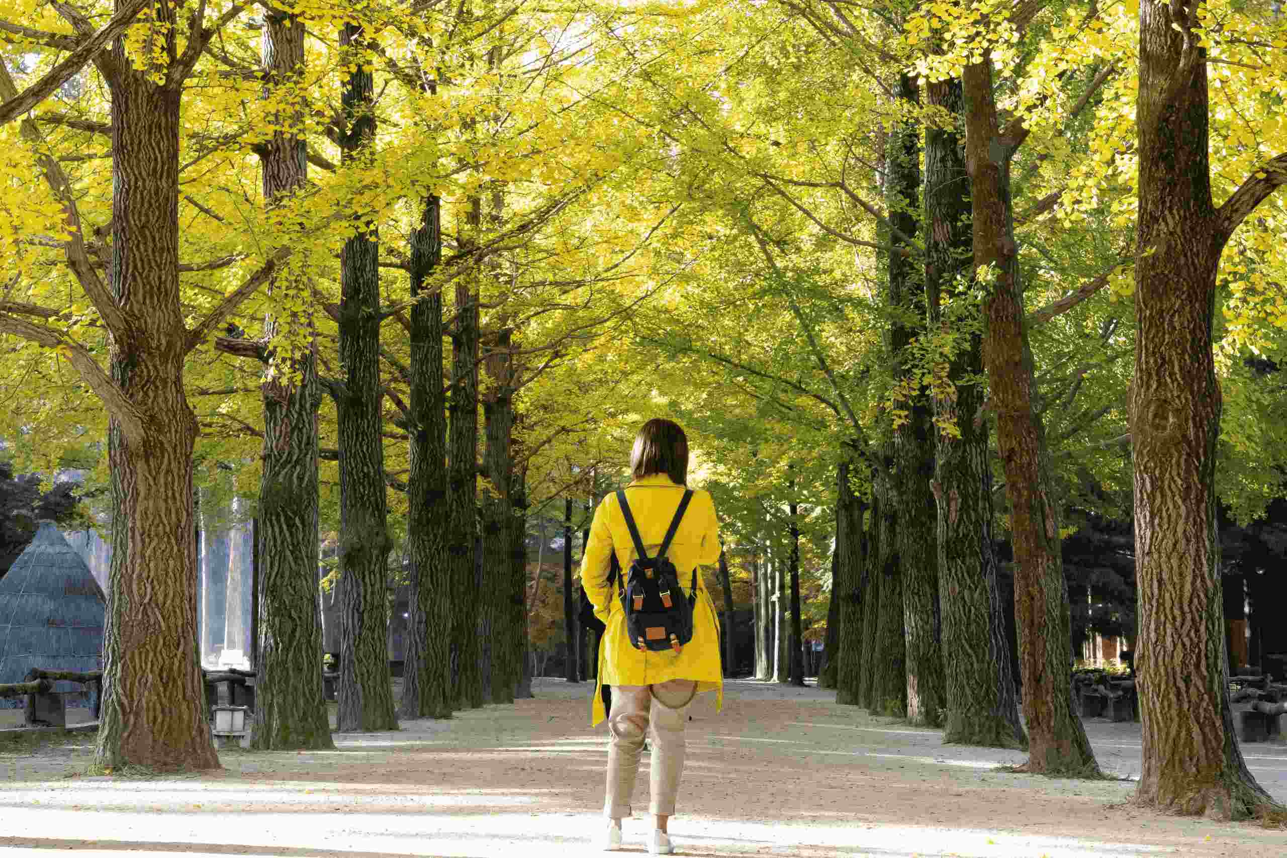 春季來韓國旅遊，建議攜帶防風外套，抵禦突如其然的冷風。