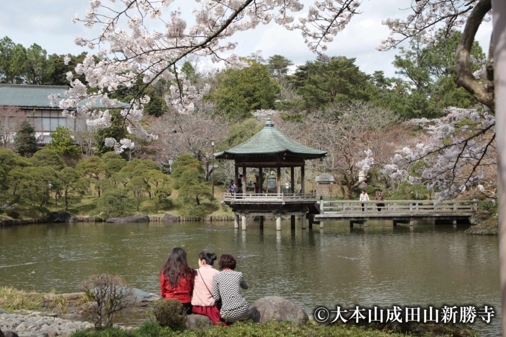 成田山公園以壯麗的自然景觀聞名，四季皆美的日式庭院。（圖片來源：成田山公園官網）