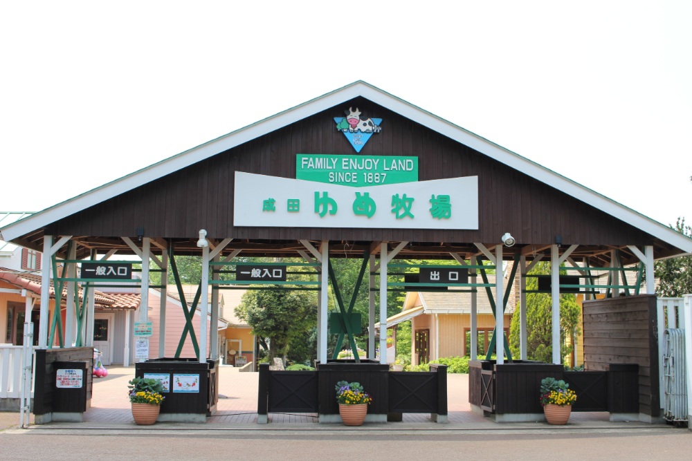 成田夢牧場，環繞在大自然的牧場中，園區內主題豐富多元。（圖片來源：成田夢牧場官網）