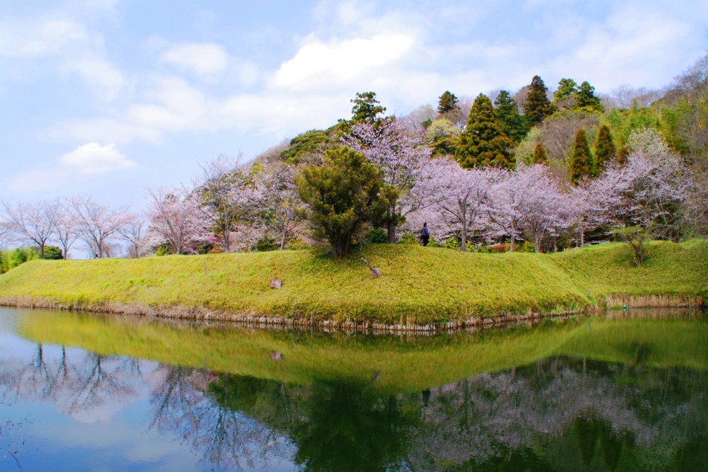 佐倉城跡公園擁有寬闊河畔，漫步觀賞大自然的景色。（圖片來源：佐倉城跡公園官網）