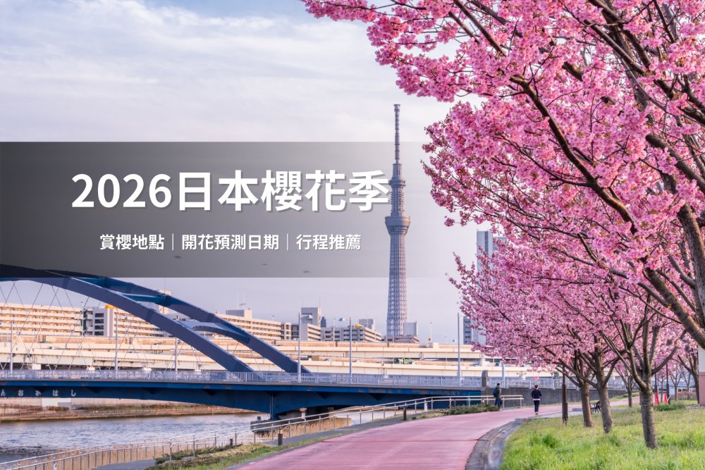 日本櫻花盛開全景，粉色花海綿延至遠方。