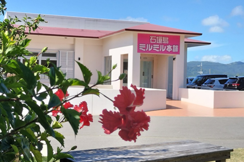 「Mirumiru 本舖」位在視野遼闊的半山腰，天氣晴朗時坐在戶外座位區，能一路眺望石垣島美麗的海景。（圖片來源：Mirumiru 本舖官網）