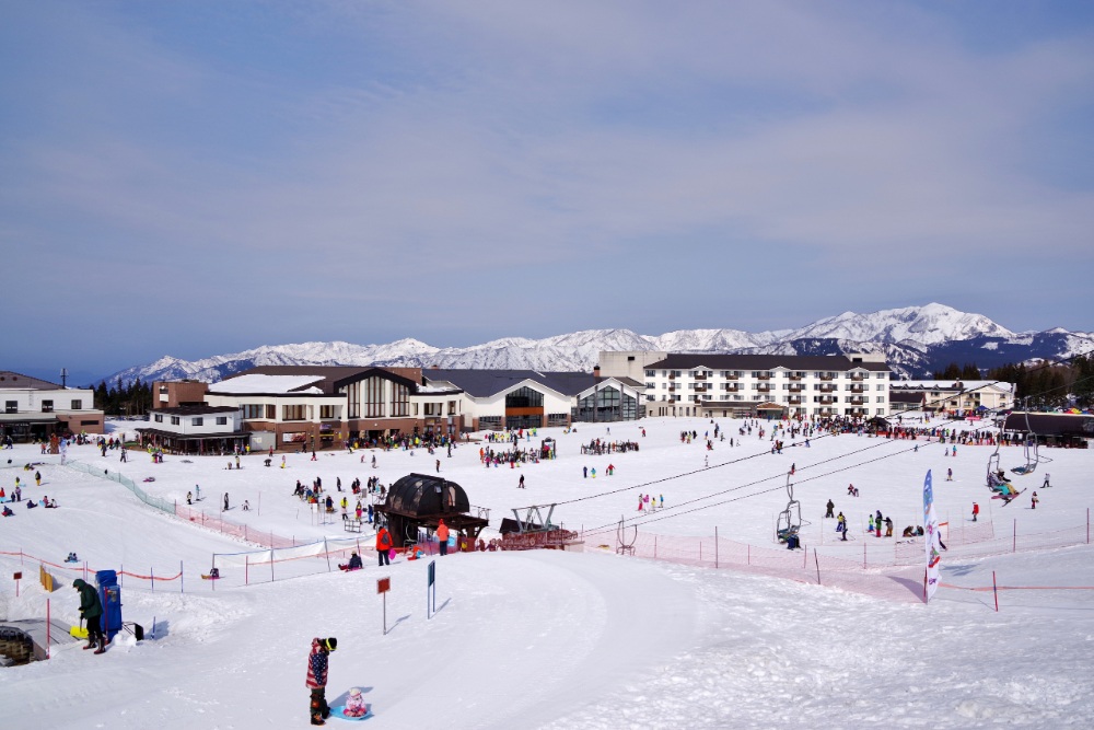 日本新年假期後～2 月上旬，北海道、長野、新潟等地仍屬於滑雪旺季。（圖片來源：Shutterstock）