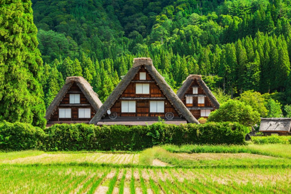 白川鄉三小屋是合掌村內非常知名的打卡景點，外觀由三棟傳統建築物並列而成，十分可愛。（圖片來源：shutterstock）