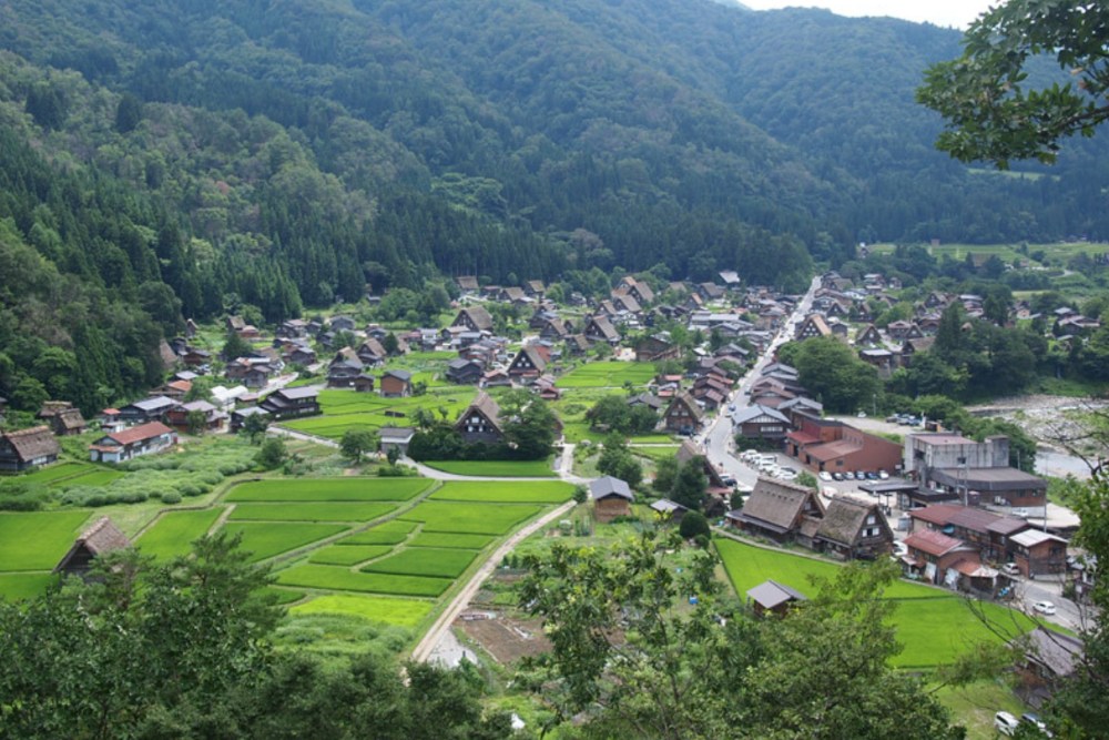 荻町城跡展望台，從高處眺望梯田與合掌屋錯落畫面，十分壯觀。（圖片來源：荻町城跡展望台官網）