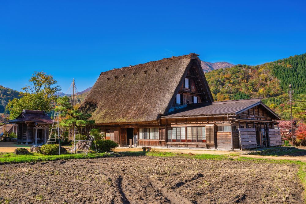 合掌村內至今仍保留少數由當地居民經營的合掌造民宿，無論白天或夜晚，都能體驗不同的風情。 （圖片來源：shutterstock）