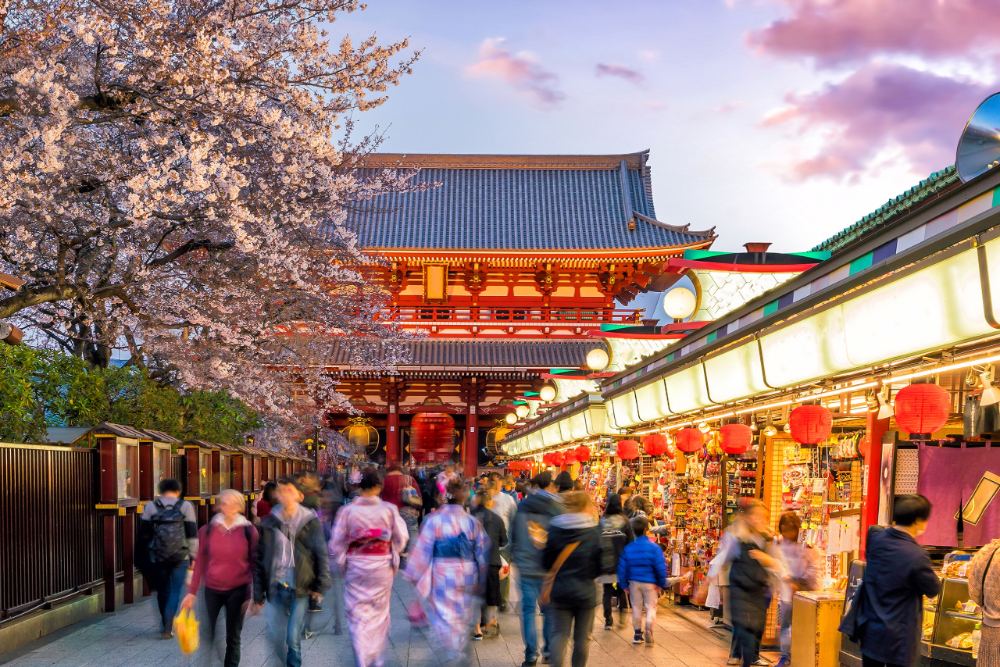薰衣草季、賞楓季、櫻花季、雪景，規劃日本旅遊時，建議確認目的地是否正值熱門階段。（圖片來源：Shutterstock）