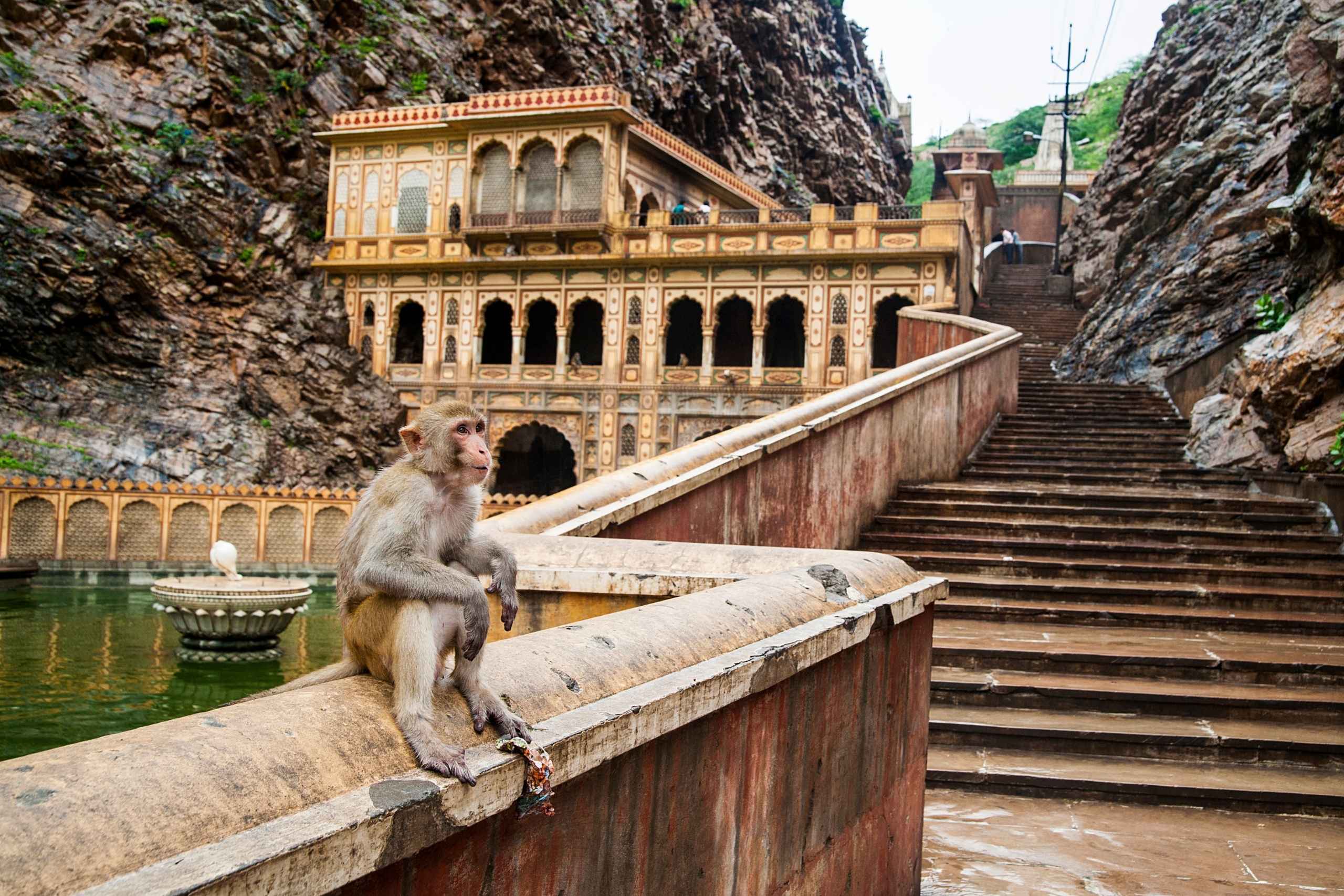 加爾塔吉寺的建築群,古老壁畫與舒適的庭院,圓頂亭台與精雕細琢的石柱交織出獨特的氛圍。(圖片來源:Shutterstock)