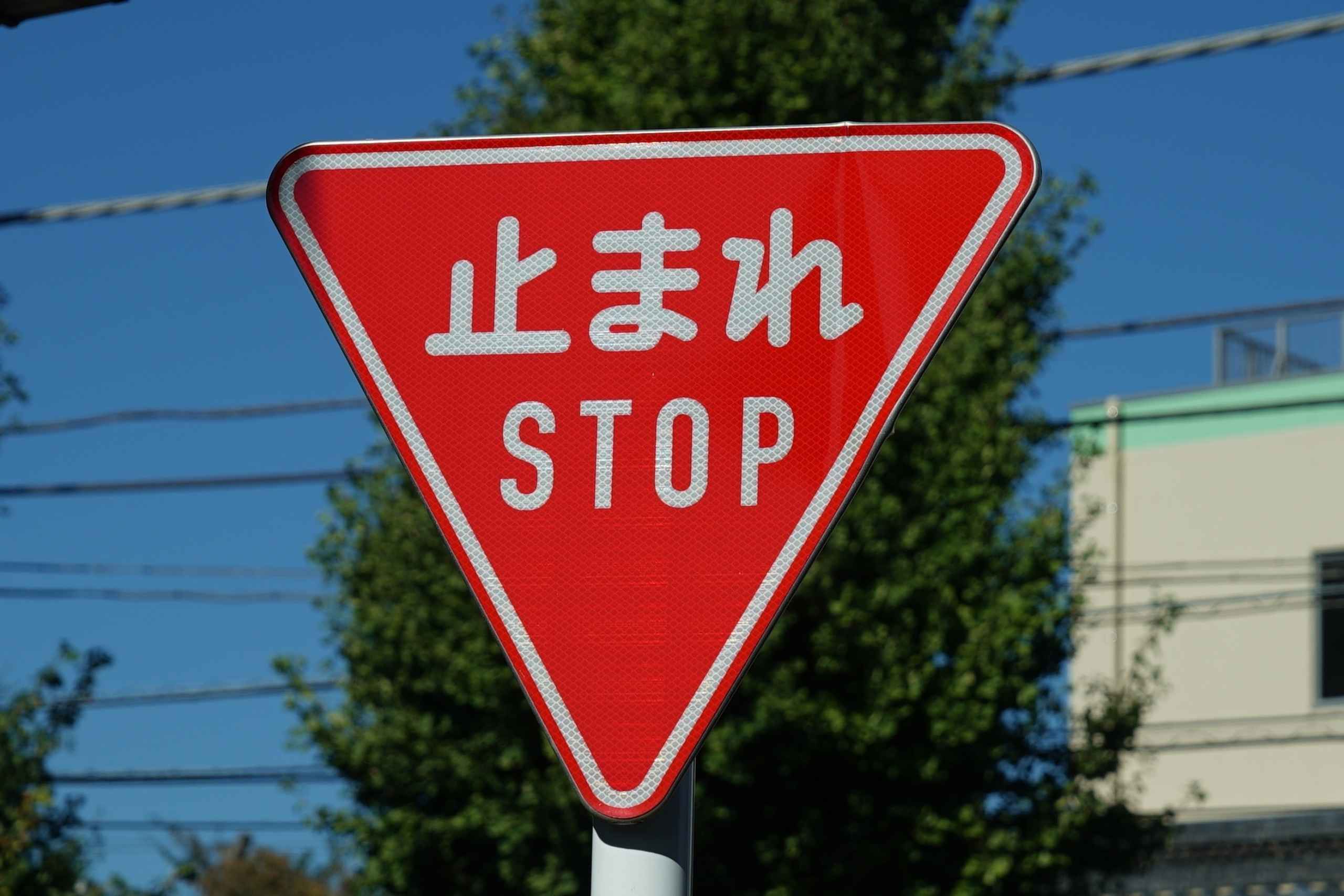 在日本自駕時，看到「止まれ」交通標誌，必須完全停止 3 秒，確認左右無來車後才能繼續前進。（圖片來源：Shutterstock）