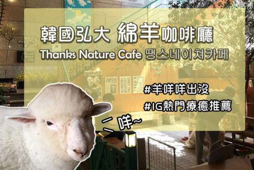 韓國羊咩咩咖啡廳-精選圖片尺寸